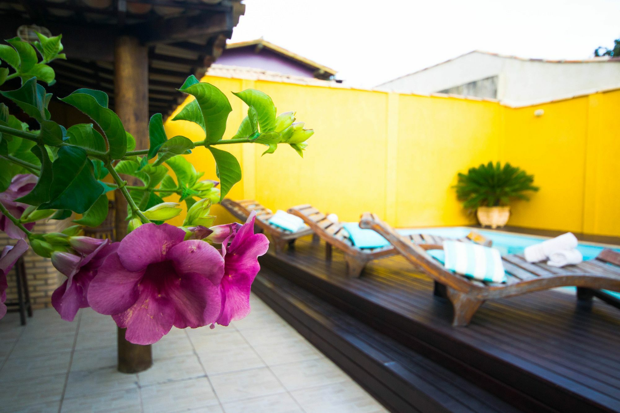 Pousada Buzios Garden Exterior foto